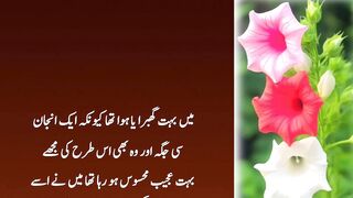 Sabaq Amoz Urdu Kahani __ urdu waqia