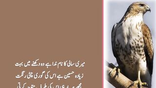 Sabaq Amoz Urdu Kahani __ urdu waqia