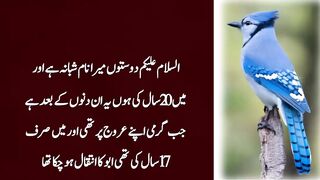 Sabaq Amoz Urdu Kahani __ urdu waqia