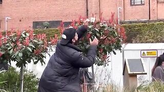 Tree_growing_money_prank___cleaning_leaf_in_the_park_prank___joker_pranks_latest_2024