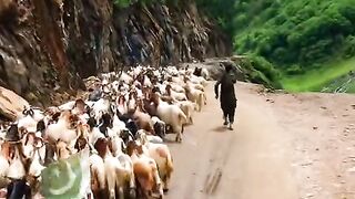 Off roading in Neelum valley kashmir Eid Special