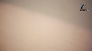 Bangla vairal web series