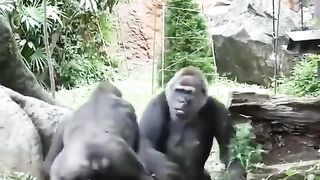 Short videos