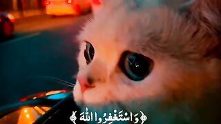 Prayer to Allah