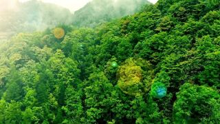 Quiet relaxing beautiful music
