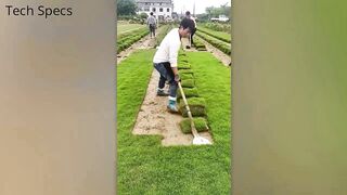 SATISFYING VIDEOS OF WORKERS WHO DO THEIR JOB PERFECTLY