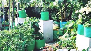 Home garden