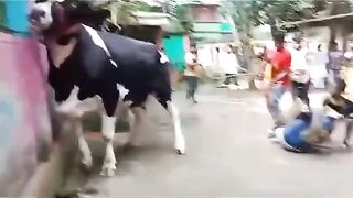 হাশির