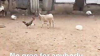 No green give any body