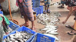 Fishing Market