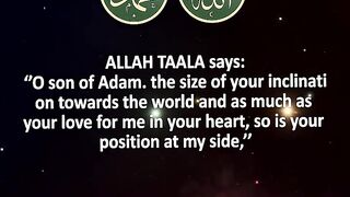 ALLAH SWT WORD,''O children of Adam, as if you live forever#shortsvideo