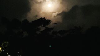 Moonlight