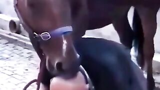Didn't he know