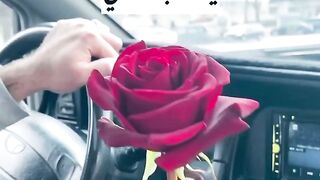 #أصالة# ياسبب فرحتي #❤️❤️❤️