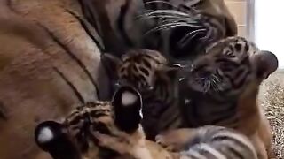 Nothing like a mother’s love ????????