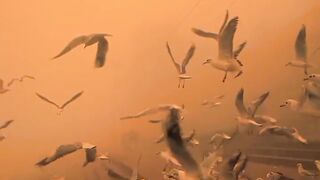 Prison lover ❤️????️????️❤️