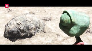 Bad things happen to Rango for 8 minutes straight ???? 4K
