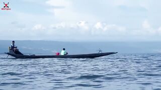 Blue Whale Fish Attack Ship - Fun Made Whale Shark Attack Movie #whale