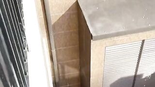Amazing Viral Videos