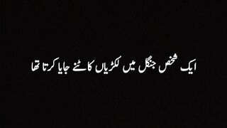 ایک شخص جنگل میں لکڑیاں کاٹنےجایاکرتاتھا ???? شیر سے دوستی