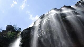 A Journey Through Nature's Beauty" <3