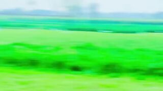 Jutti Punjab Di Azra Imran