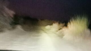 Night Cholistan