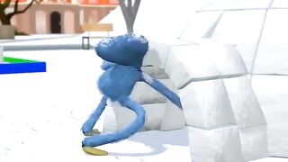 Funny videos