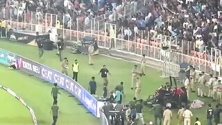 A dog went inside the ground during an IPL match