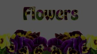 The Magic Flowers