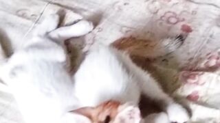 My babys