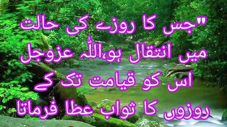 Roze ki halat me intiqal