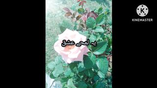 Poetry