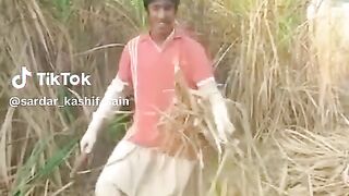 Most funny video 2024