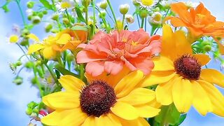 Natural beauty of the world