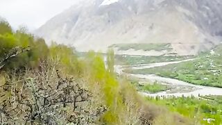 Beautiful nature of summer season
