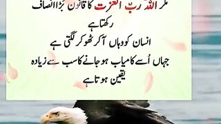 Insan yah Samaj H Kar Jhooth bolata hai
