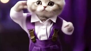 Cat dancing