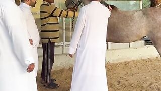 Arabic family| Arabic funny boys | very funny