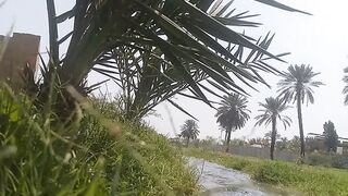 Beautiful Nature Gardan life