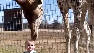 Amazing funny video-