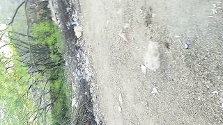 Beautiful View ????