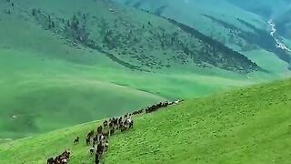 Enjoy the Beautiful scenery and subscribe the channel