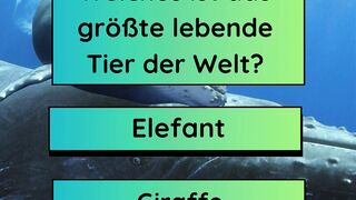 Welt der Tiere