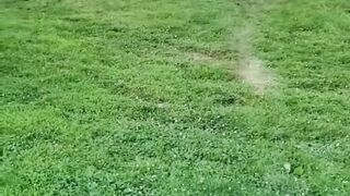 The_end_????????????_#shorts#viral#funny#fails