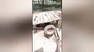 Pakistani Fanny Jugad Amazing watch vedeo