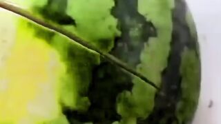 Magic watermelon