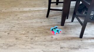 Amazon best products. Amazon best toys rc cars. Amazon best gadgets