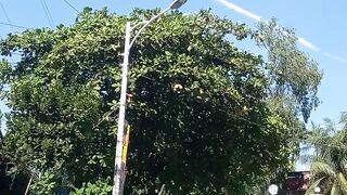 what is this ? drop comment ????
