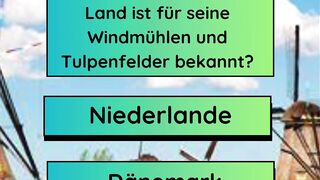 Windmühlen und Tulpenfelder